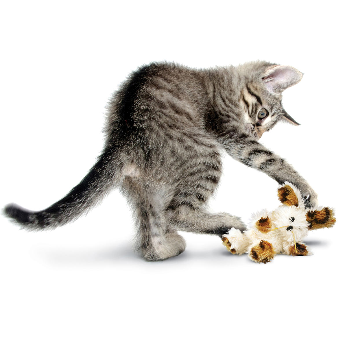 KONG Katzenspielzeug Softies Patchwork Bär kaufen