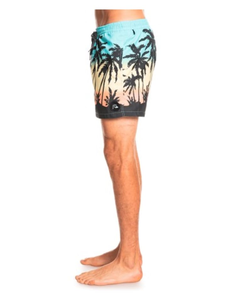 Quicksilver Everyday Paradise Volley 15 Badeshorts in Blau günstig kaufen