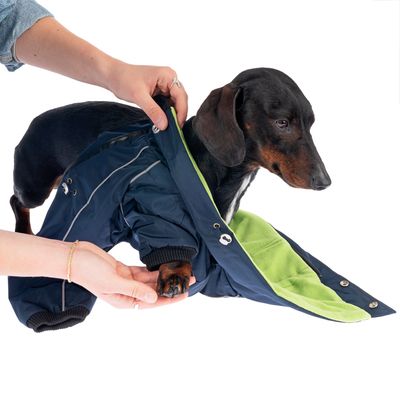 TIAKI Hundeoverall Smurff