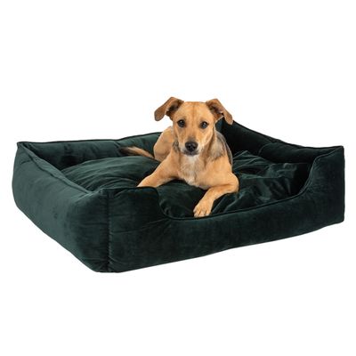 Modern Living Hundebett Fern