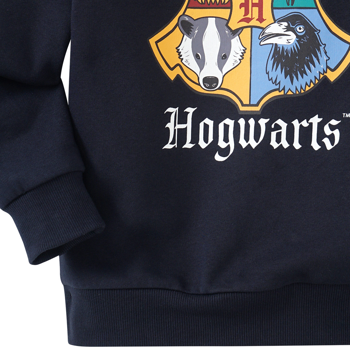 Harry Potter Sweatshirt mit Print