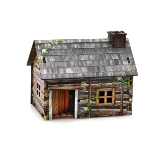 e-Raptor Constructions - Tavern & Houses