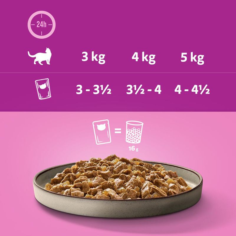 Jumbopack Whiskas Pure Delight Portionsbeutel 144 x 85 g | bitiba