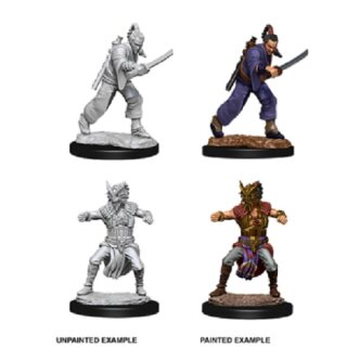 Male Human Monk: Nolzurs Marvelous Unpainted Minis