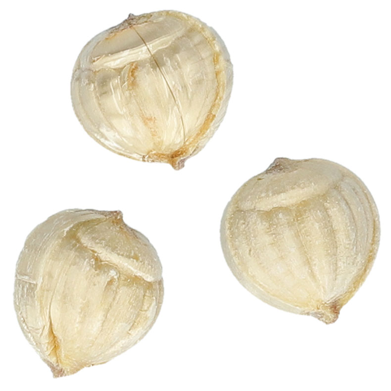 Küfa Goldnüsse 175g