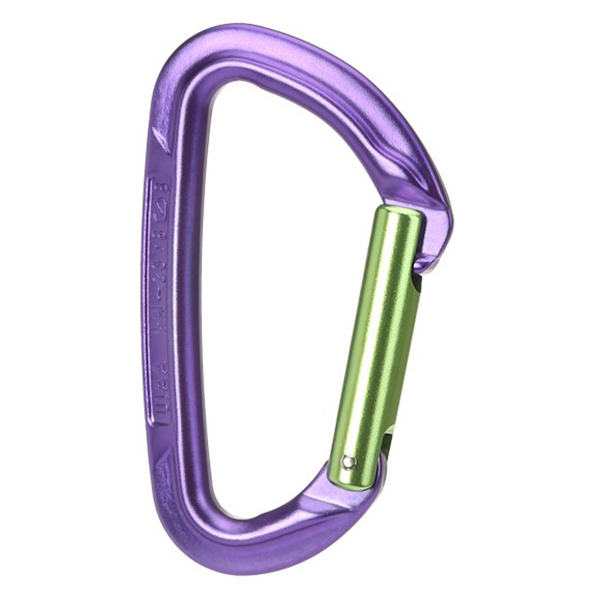 Wild Country - Session Straight Gate - Schnappkarabiner
