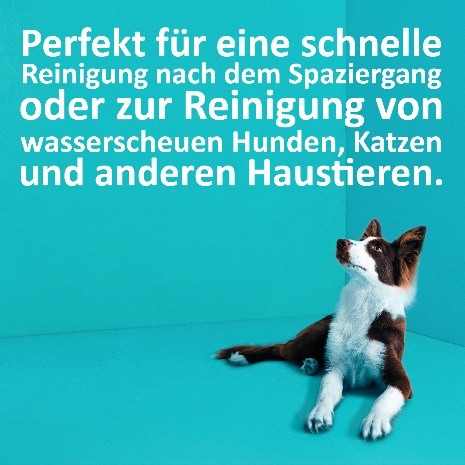 Greenhero Fellpflege Greenhero Trockenshampoo
