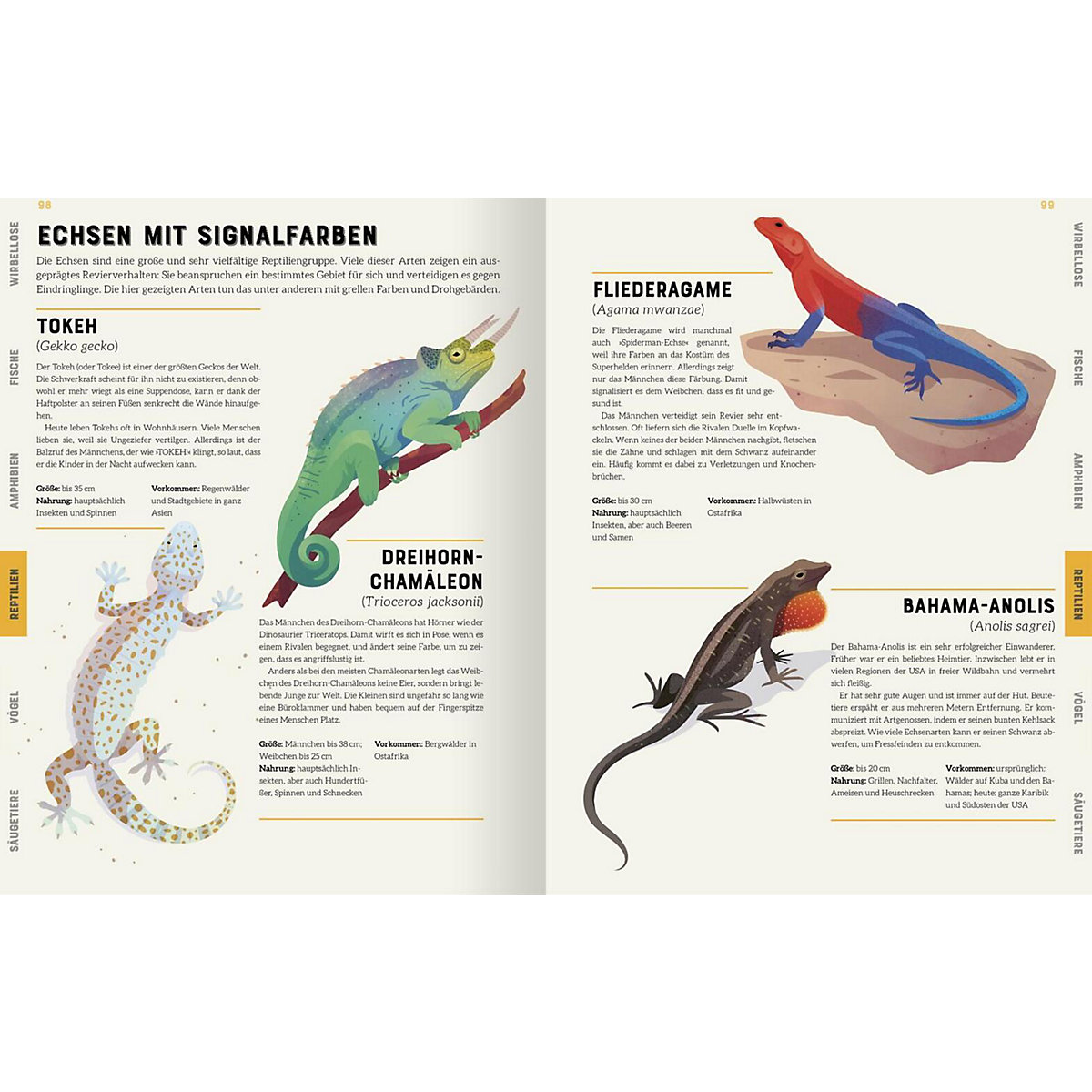 Das große Lexikon der Tiere