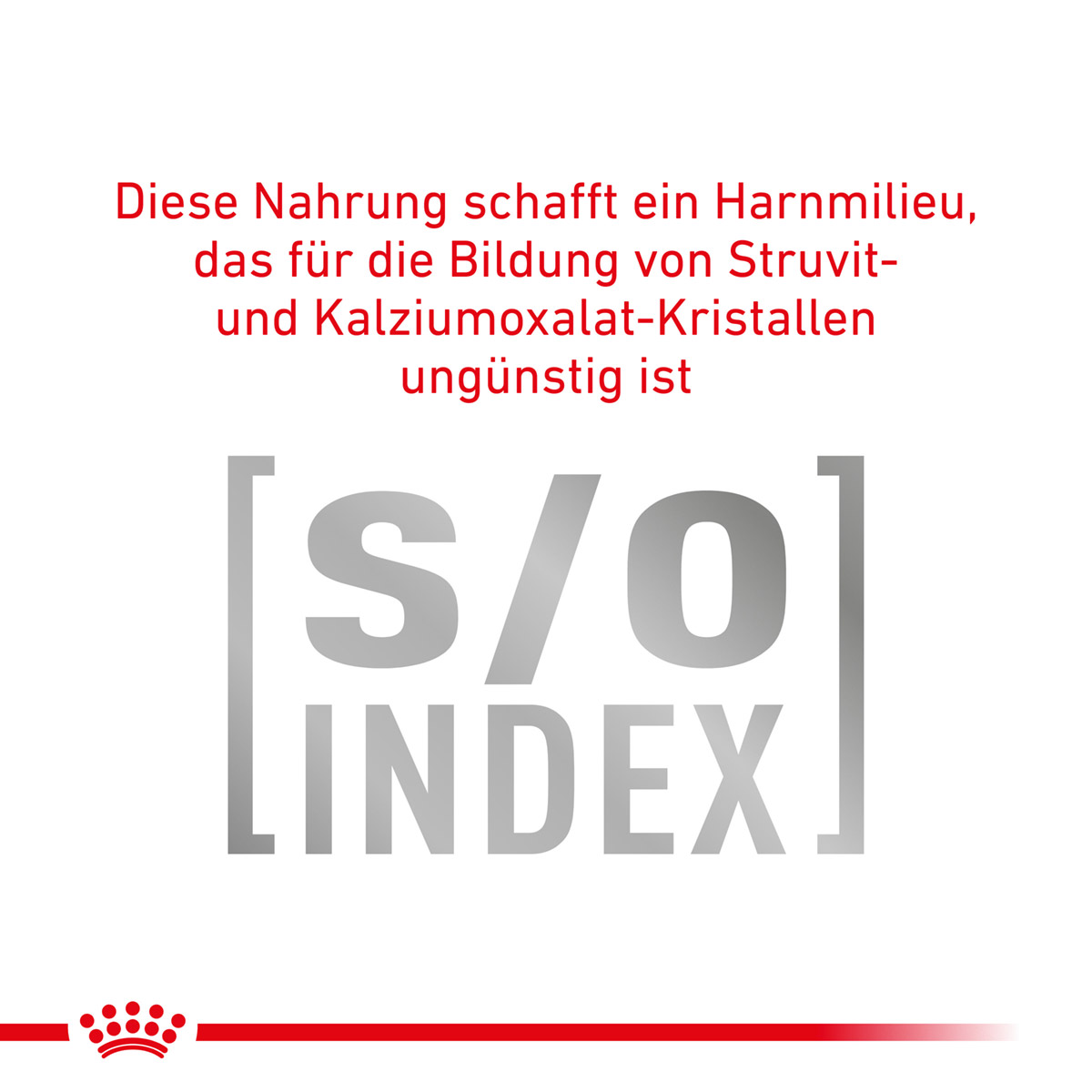 ROYAL CANIN Veterinary GASTROINTESTINAL HAIRBALL Trockenfutter für Katzen