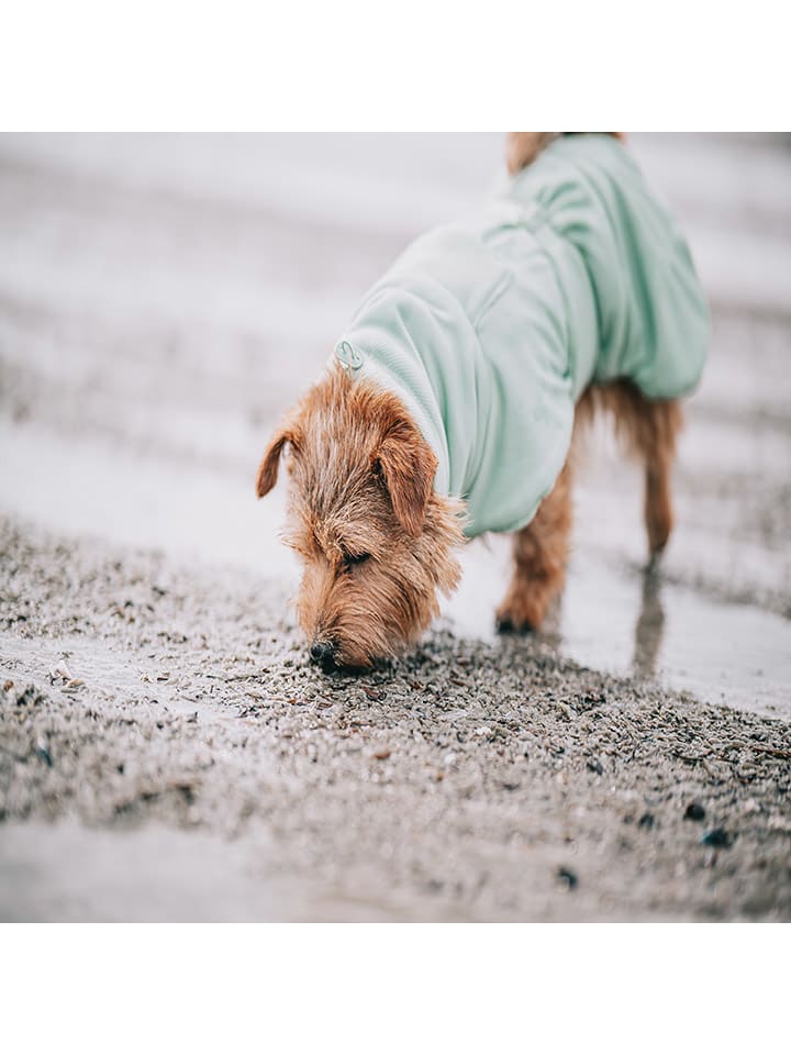 Paikka Hunde-Trockenmantel in Hellgrün günstig kaufen