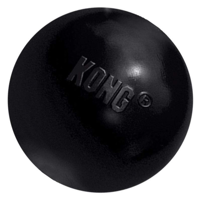 KONG Extreme Ball zu TOP-Preisen