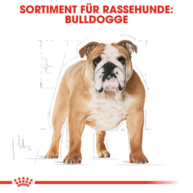 ROYAL CANIN Hundetrockenfutter ROYAL CANIN Bulldog Adult 3 kg