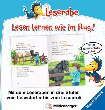 Leserabe mit Mildenberger Silbenmethode: Pferdegeschichten