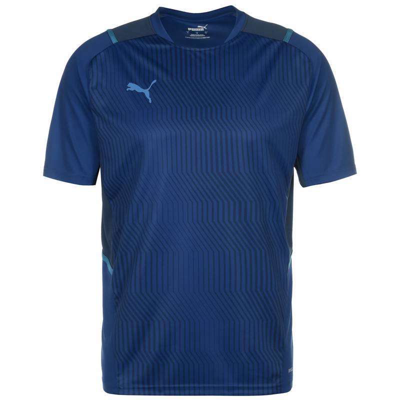 PUMA TeamCUP Funktionsshirt Herren