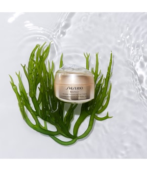 Shiseido Benefiance Wrinkle Smoothing Augencreme-15 ml