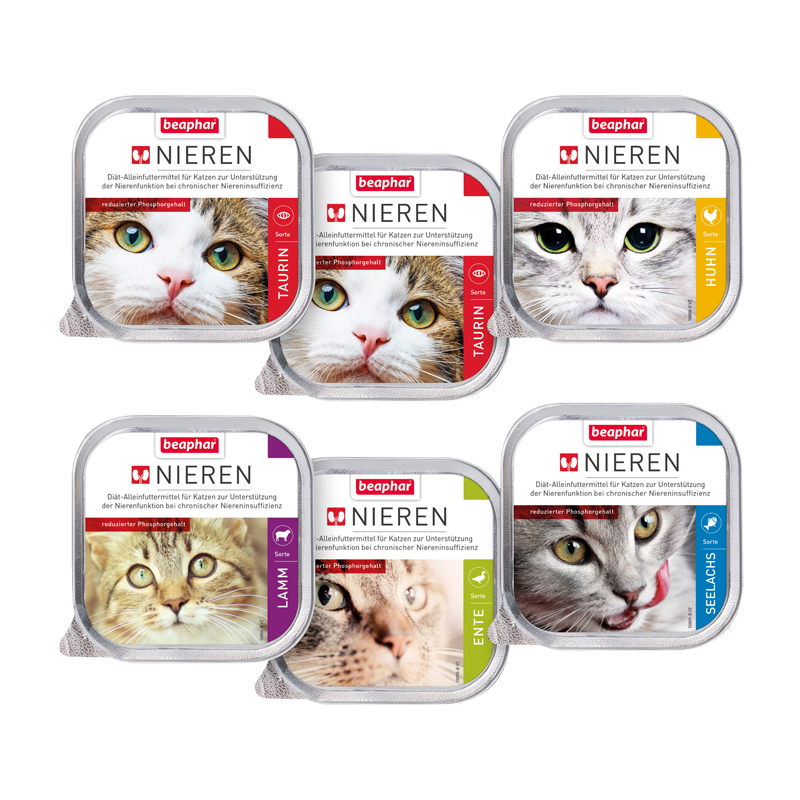 Beaphar Nierendiät Beaphar Nierendiät Mix-Pack 6x100g