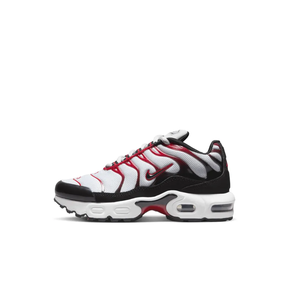 Nike Air Max Plus CD0610-027 / grau