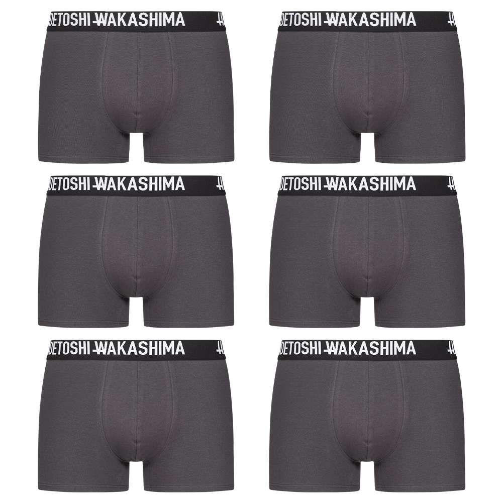 HIDETOSHI WAKASHIMA 