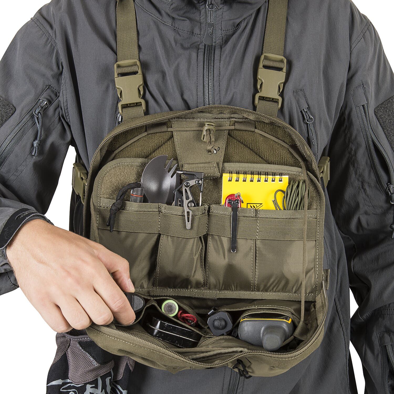 Chest Pack Numbat