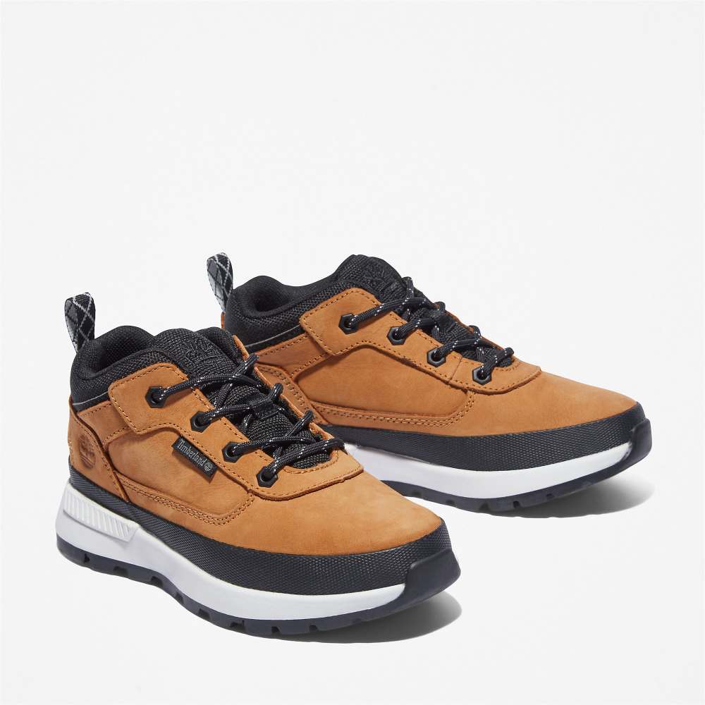 Timberland Field Trekker Low TB0A2GN12311 / braun