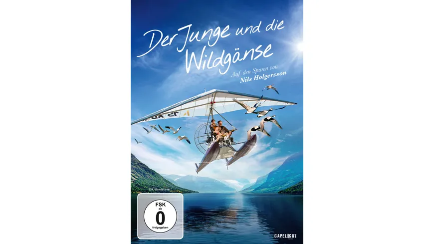 Der Junge und die Wildgänse