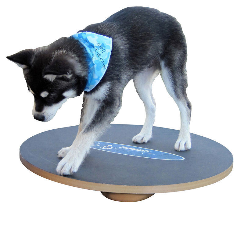 Altranet Agility & Training Altranet Fitpaws 20 Wobble Board