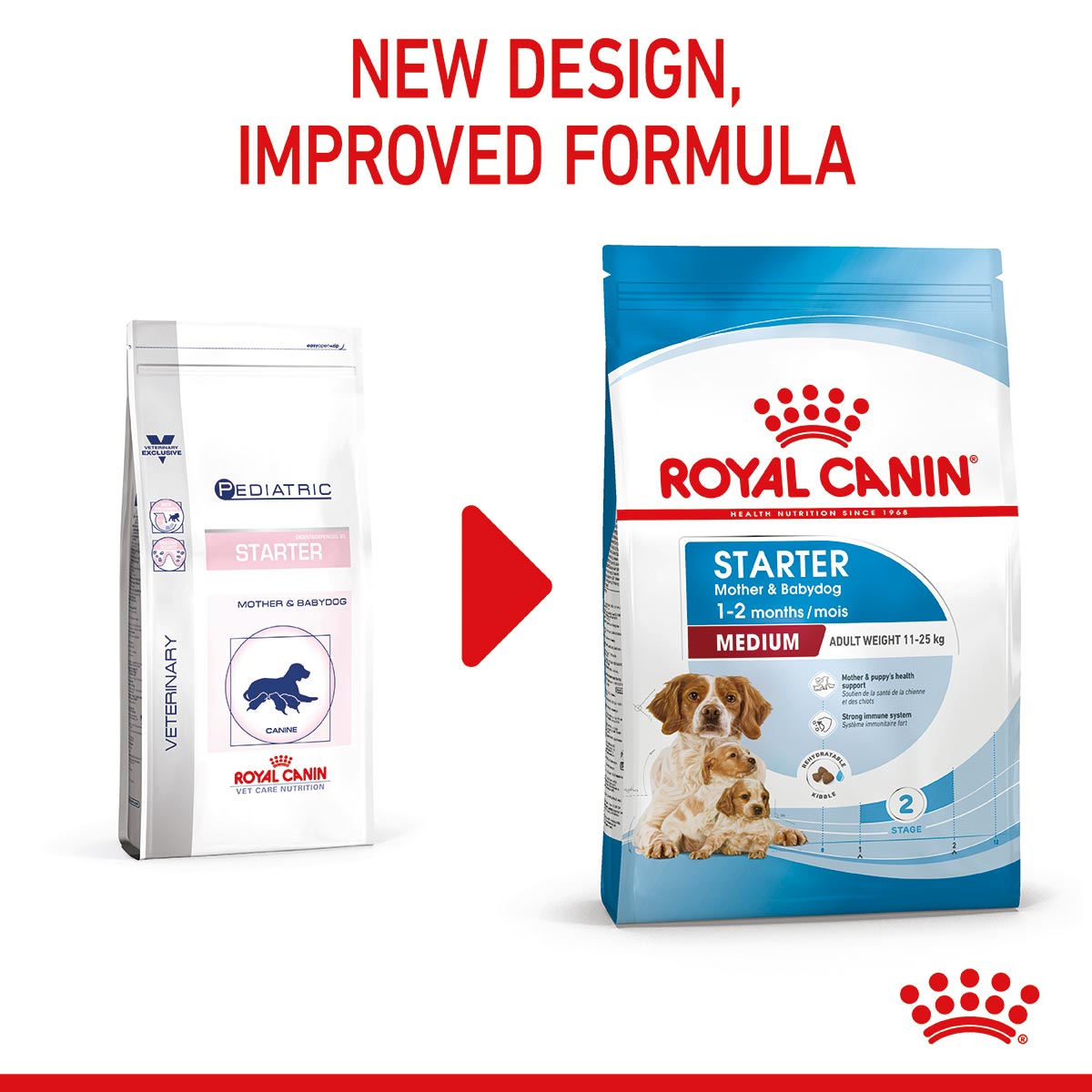 ROYAL CANIN MEDIUM Starter für tragende Hündinnen und Welpen mittelgroßer Rassen