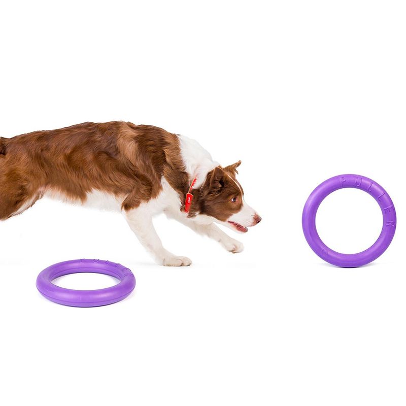 Ferplast Hundespielzeug Puller zu TOP-Preisen