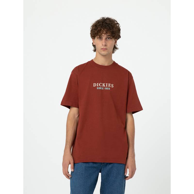 Dickies Park T-Shirt Herren