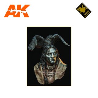 Raven Sorcerer 1/10 Bust