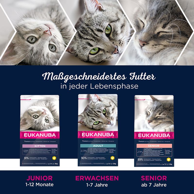 Eukanuba Top Condition 7+ Senior zu TOP-Preisen