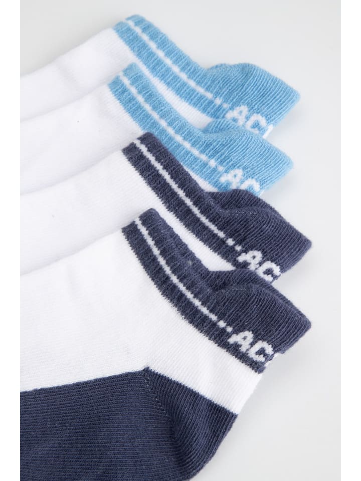 Coccodrillo Socken in bunt günstig kaufen