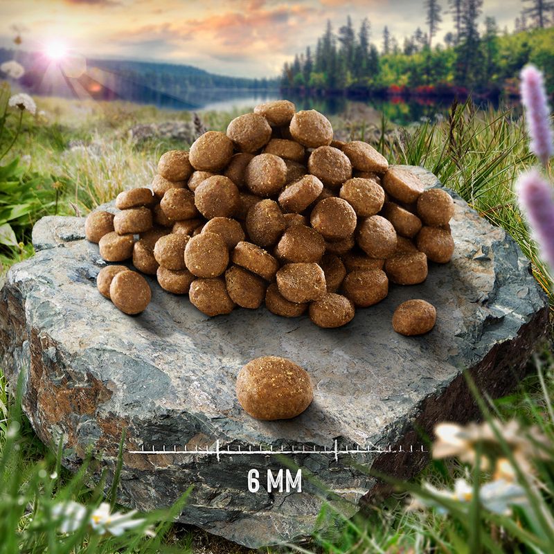 Purizon Single Meat Pute mit Heidekrautblüten