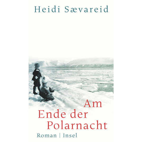 AM ENDE DER POLARNACHT - Roman