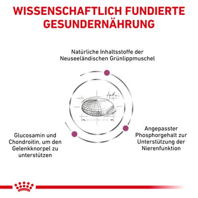 Royal Canin Veterinary Feline Mobility
