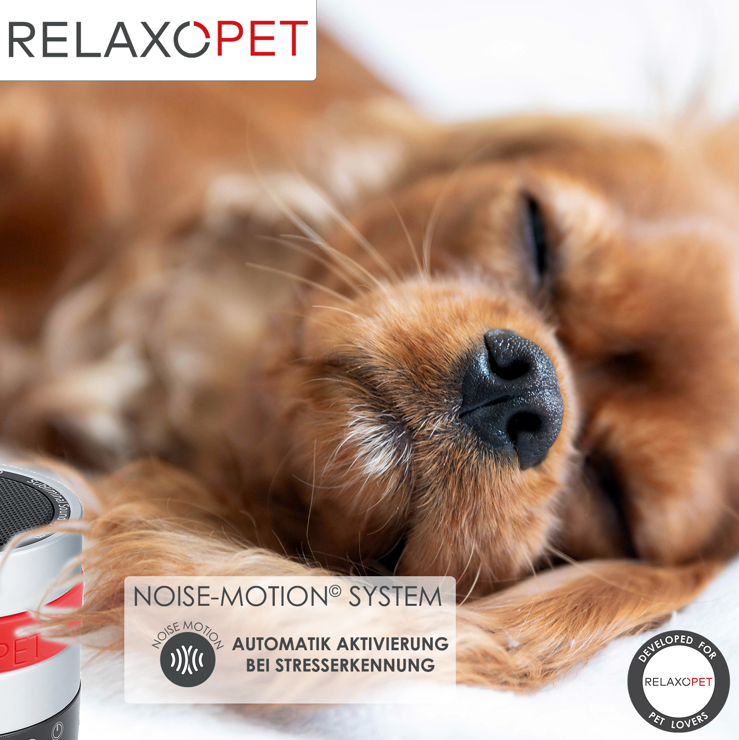 RelaxoPet Beruhigungsmittel RelaxoPet PRO Entspannungs-Trainer HUND