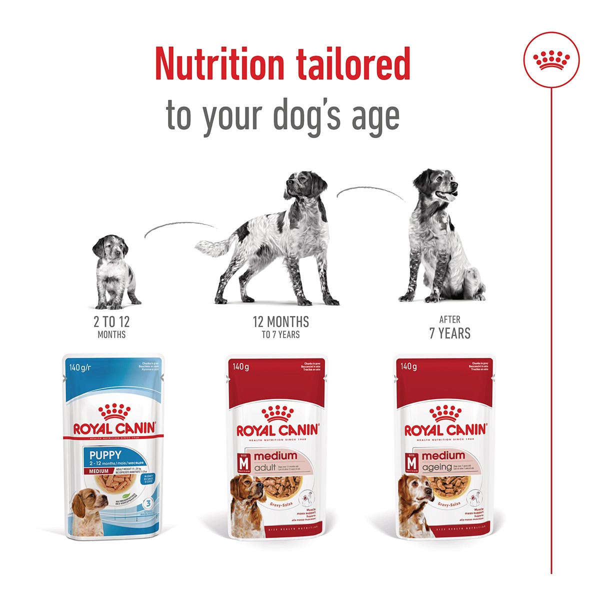 Royal Canin SHN Medium Ageing Gravy günstig kaufen bei ZooRoyal