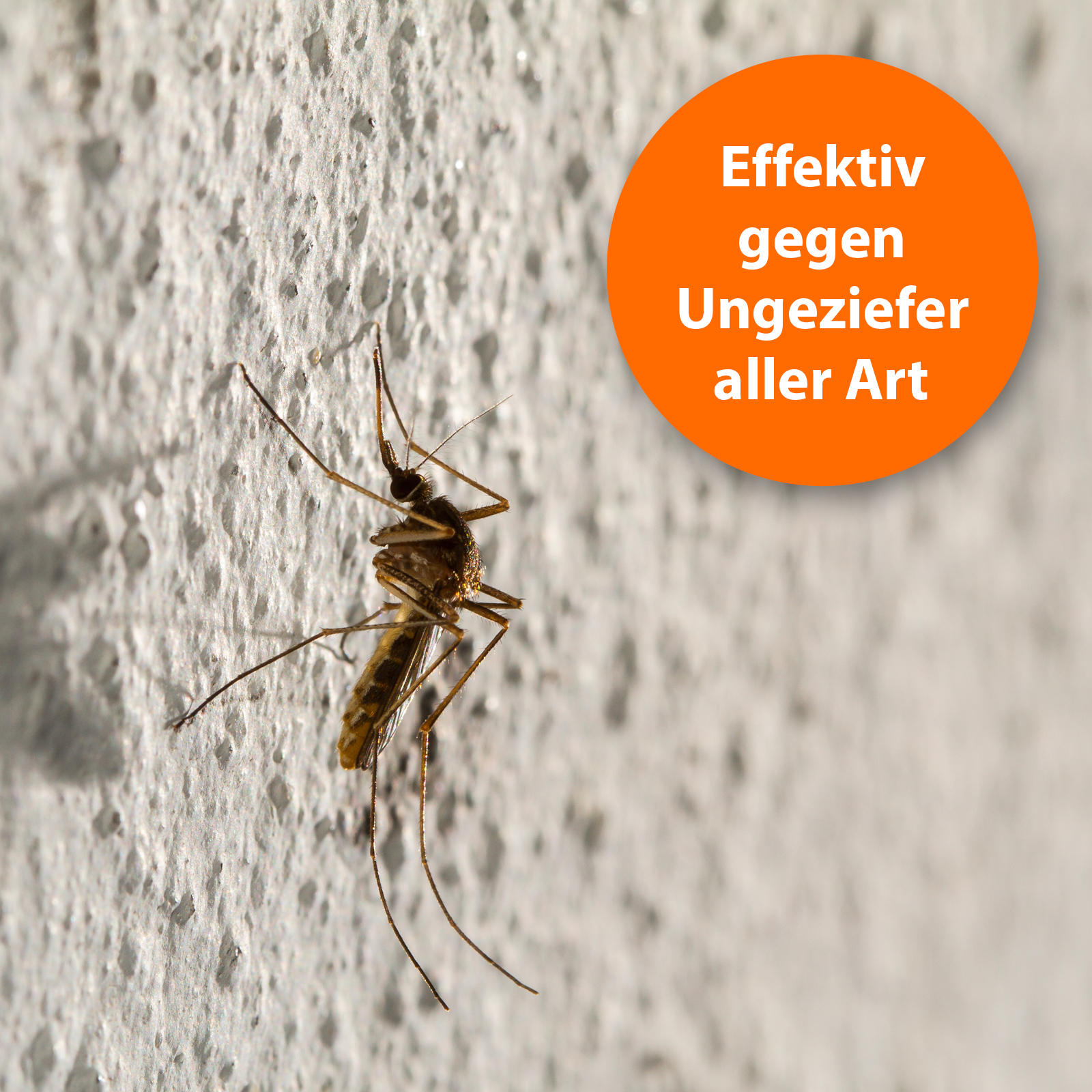 Ardap Zubehör Ardap Ungeziefer Zerstäuber 500ml