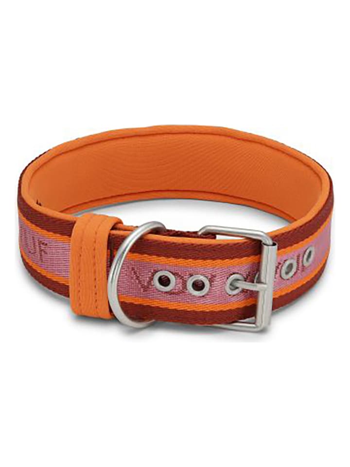 VOV & VUF Hundehalsband in Orange/ Rot günstig kaufen onesize