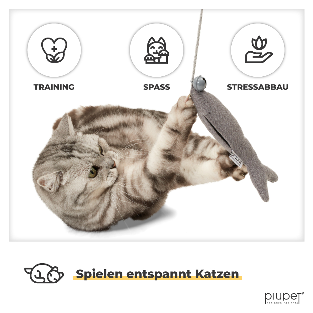 PIUPET Katzenangeln PIUPET Katzenangel