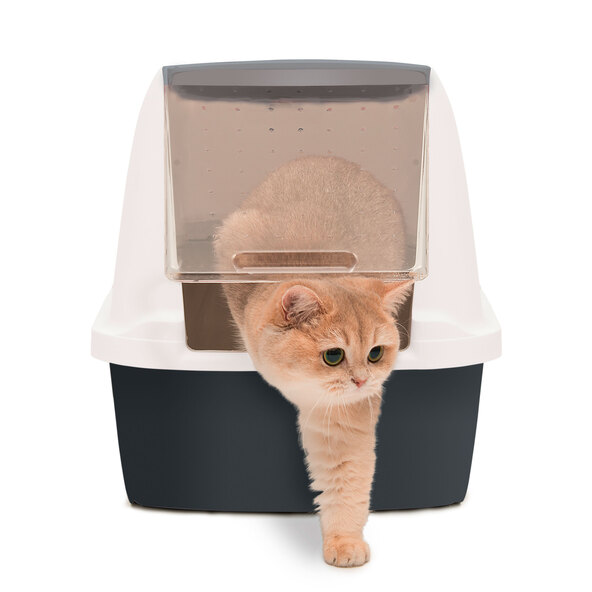 Katzentoilette Jumbo mit Dach