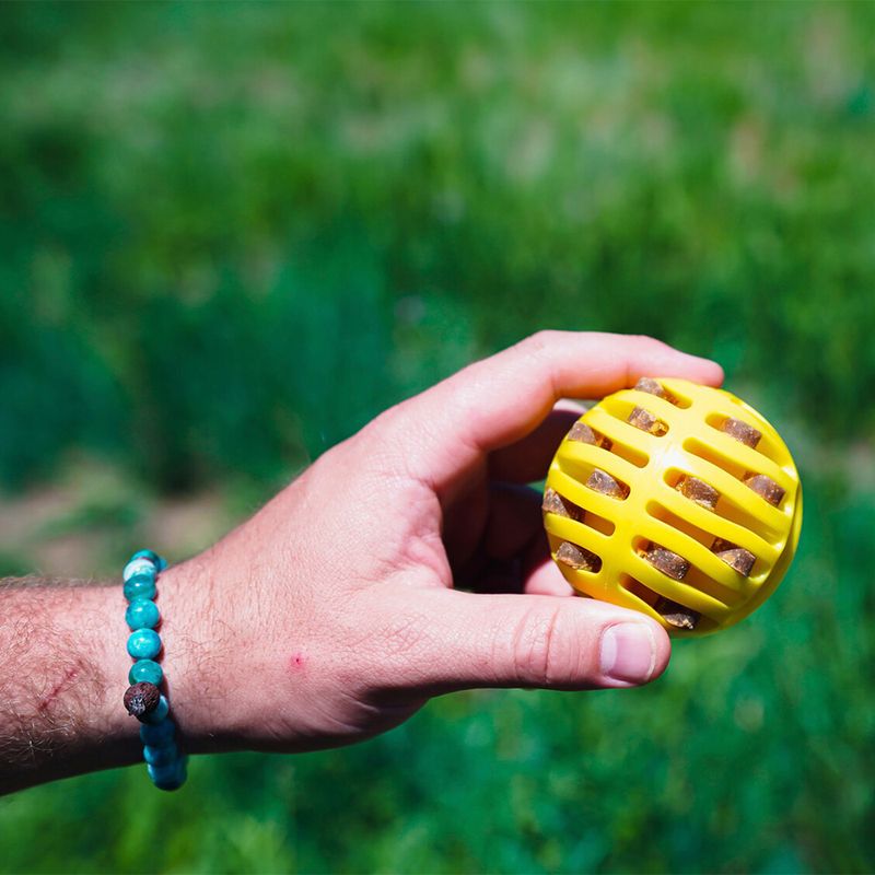 FLINGERZ™ Wurfspielzeug Ball zu TOP-Preisen