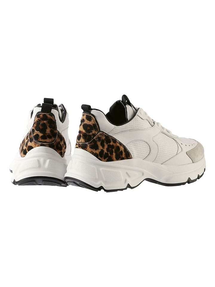 Högl Leder-Sneakers 