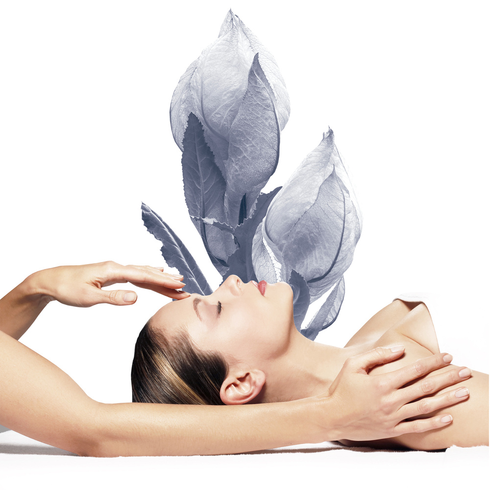 DR Renaud PRESCRIPTION VEGETALE - EXPERT TEINT PARFAIT PRO-JEUNESSE Soin Visage Eclat DR Renaud 1h