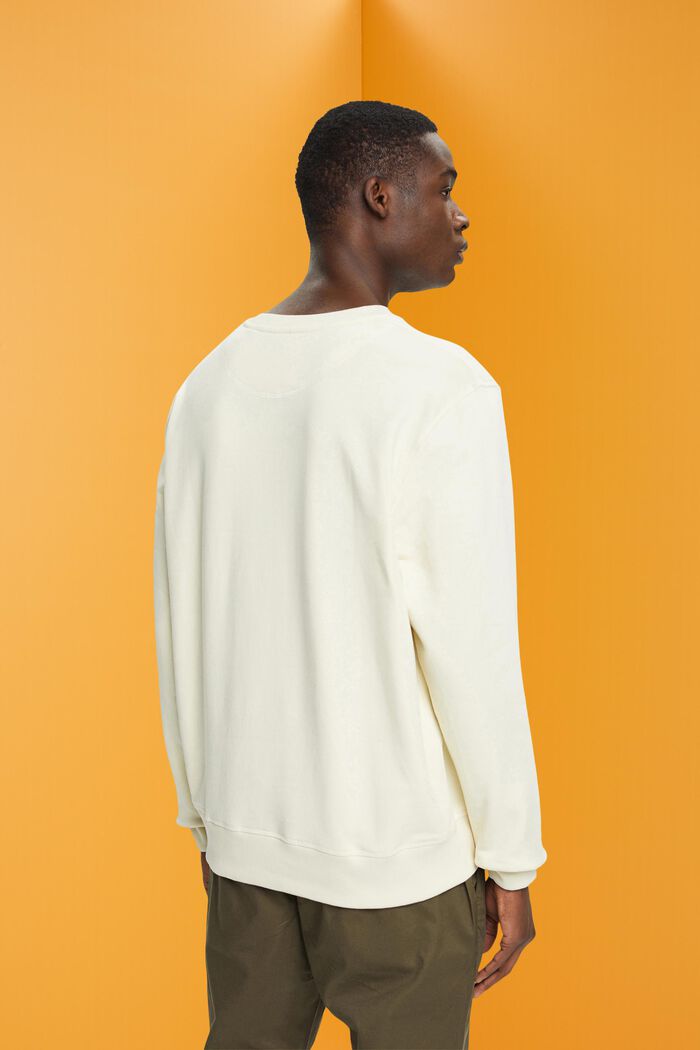 Sweatshirt mit Frontprint