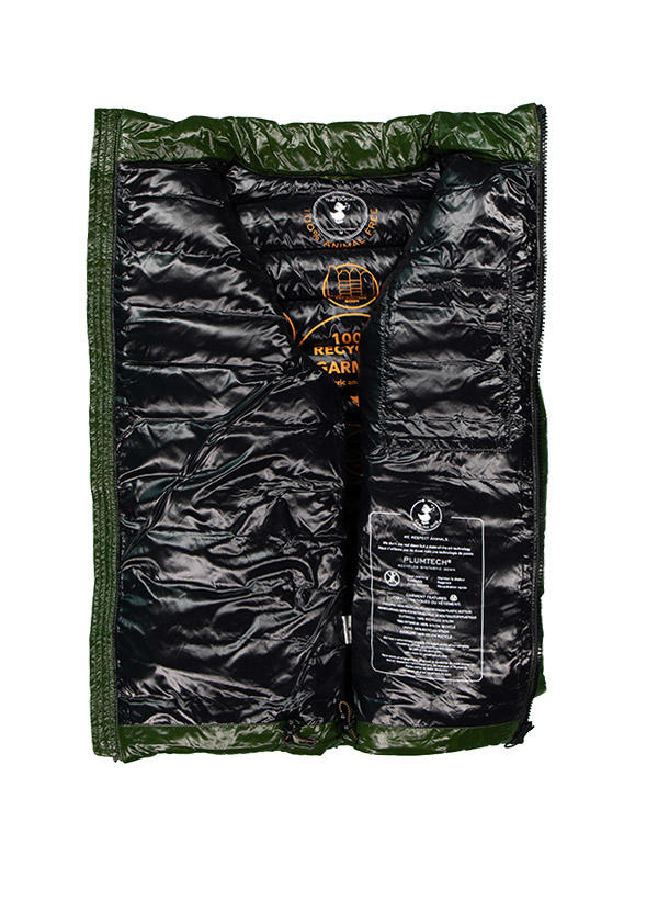 SAVE THE DUCK, Steppjacke, Mikrofaser PLUMTECH®, grün