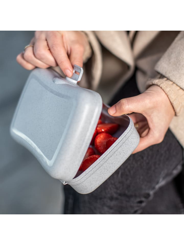 koziol BASIC - Lunchbox in organic pink günstig kaufen onesize