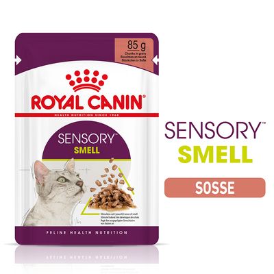 Royal Canin Sensory Smell in Soße