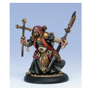 Protectorate Seelensammler - Menoth Reclaimer (PIP32044)