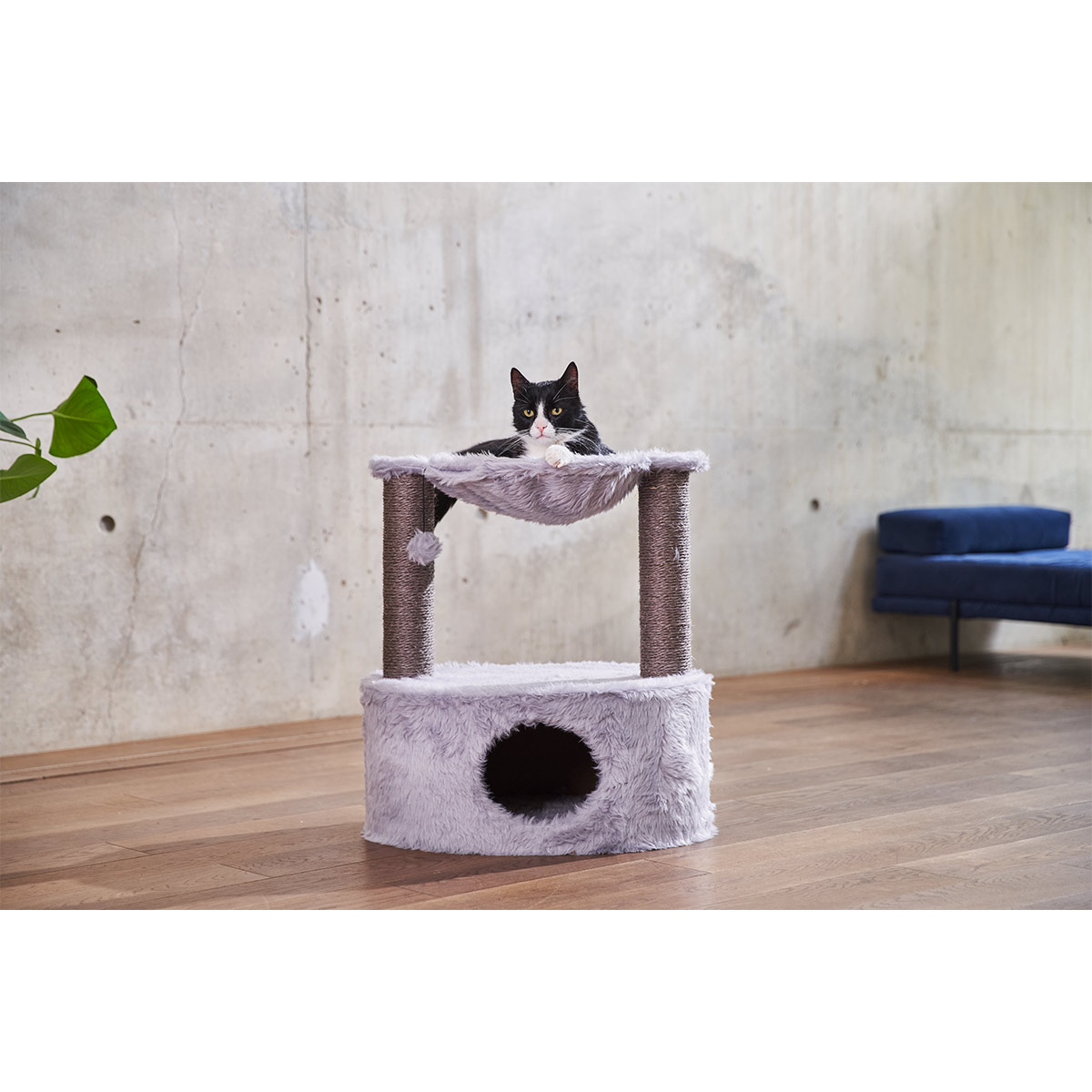 ZooRoyal Kratzbaum Nora 60 cm günstig kaufen bei ZooRoyal